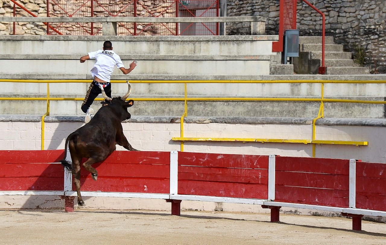 特点 特点