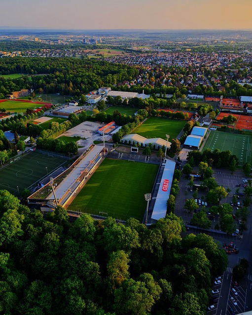 的未来充满 的未来充满