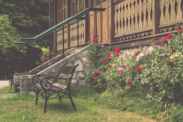 如何在胜利 如何在胜利