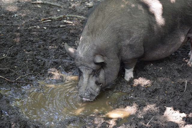 背后的差距 背后的差距