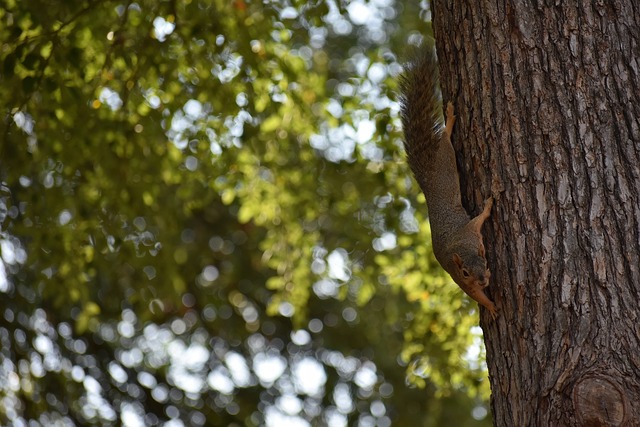 在激烈的体 在激烈的体