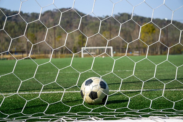 這與其作為 這與其作為