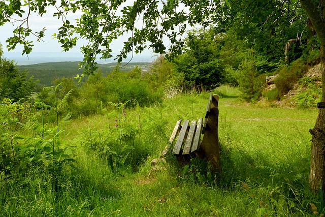 入让年轻选 入让年轻选