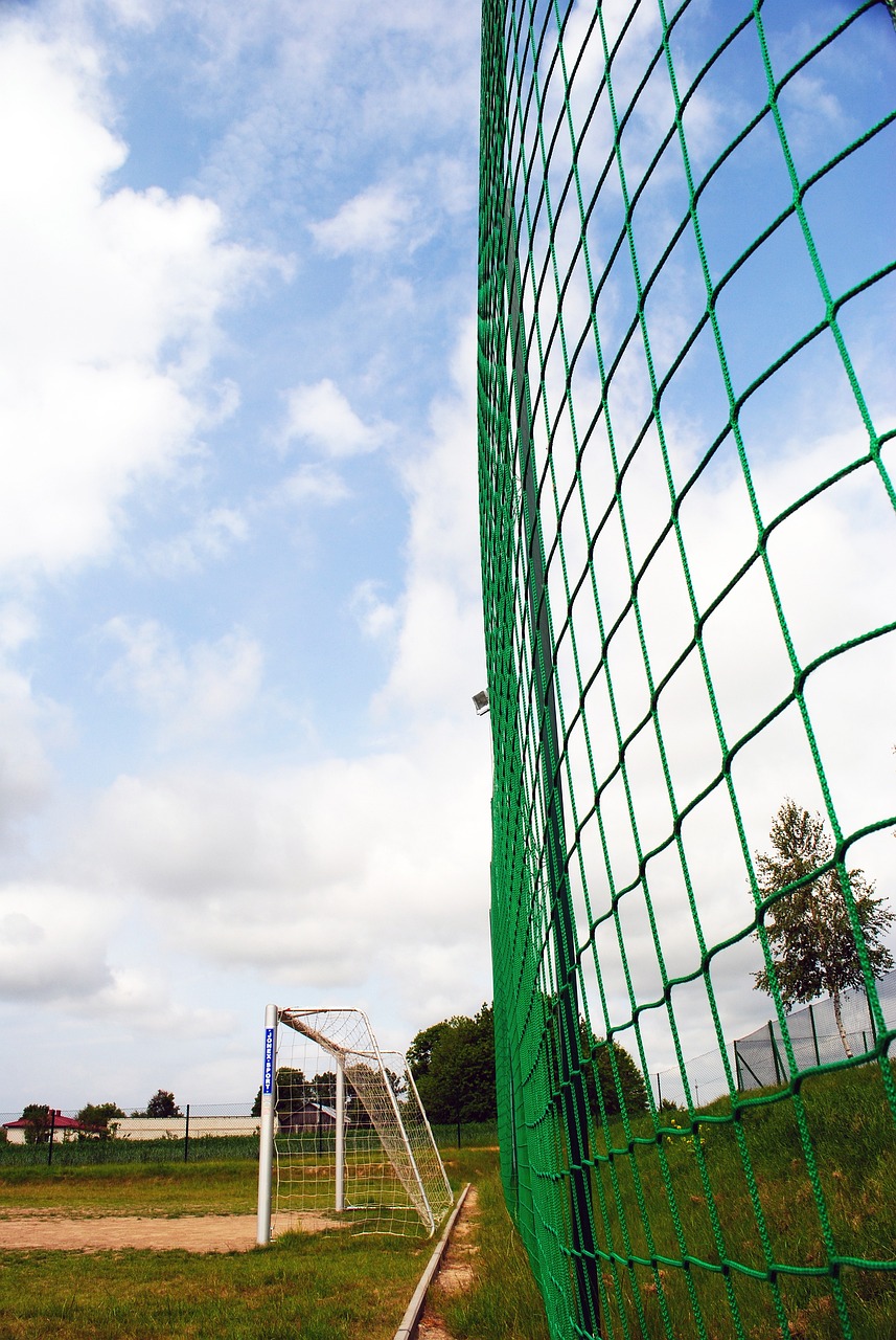 曼聯全場的 曼聯全場的